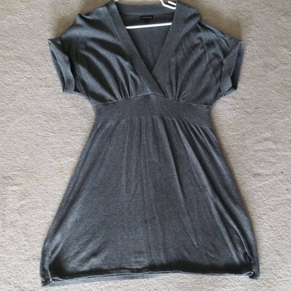 Express sweater dress